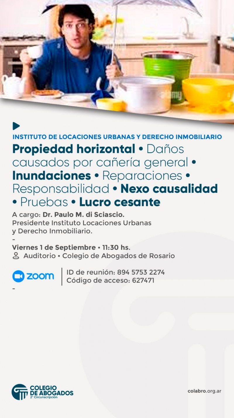 PROPIEDAD HORIZONTAL - DAÑOS CAUSADOS POR CAÑERIA GENERAL - INUNDACIONES - REPARACIONES - RESPONSABILIDAD - NEXO CAUSALIDAD - PRUEBAS - LUCRO CESANTE - 01/09/2023